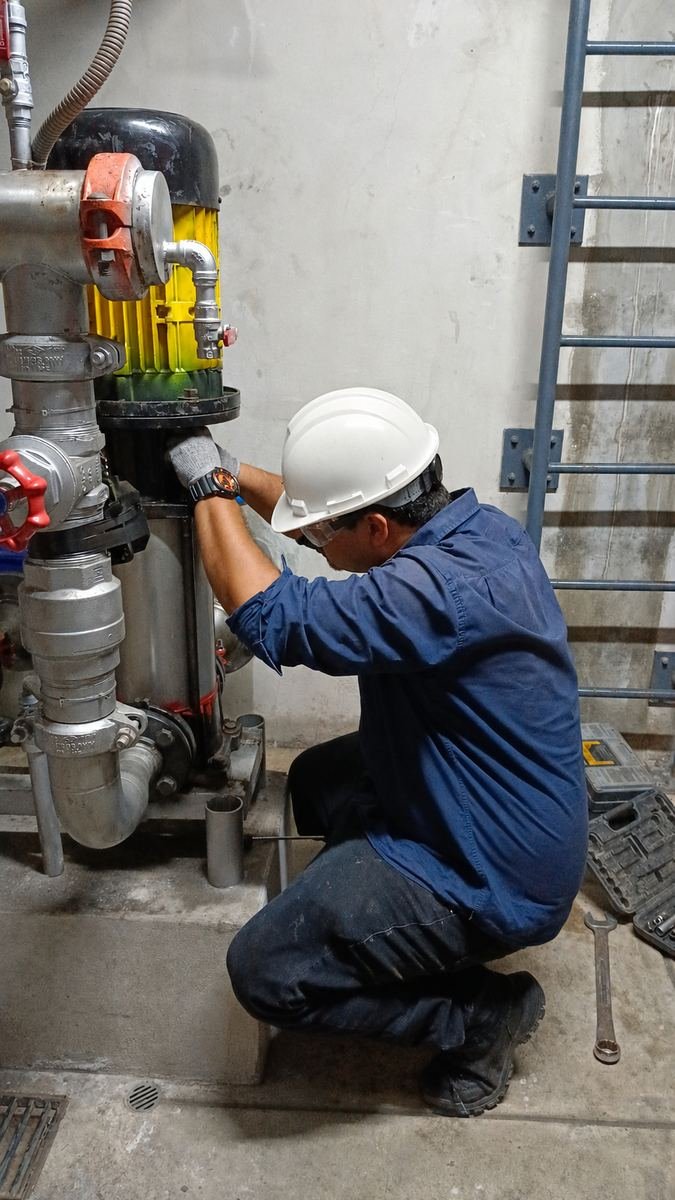 Técnico ELMMI